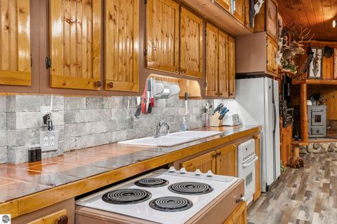 Tiny photo for 11486 Old US Hwy 131, Fife Lake, MI 49633 (MLS # 1945083)