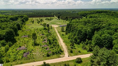 Tiny photo for 303 Westwood Road, Nw, Alden, MI 49612 (MLS # 1941771)