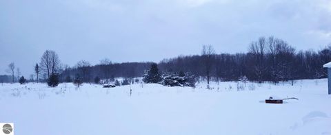 Tiny photo for 303 Westwood Road, Nw, Alden, MI 49612 (MLS # 1941771)