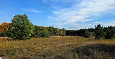 Tiny photo for 303 Westwood Road, Nw, Alden, MI 49612 (MLS # 1941771)