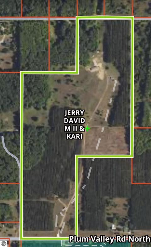 Tiny photo for 303 Westwood Road, Nw, Alden, MI 49612 (MLS # 1941771)