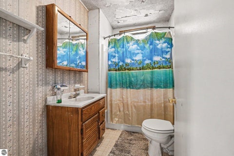 Tiny photo for 901 W Baseline Road, Mt Pleasant, MI 48858 (MLS # 1947742)