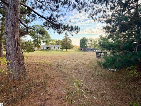 Tiny photo for 4774 W 16 Road, Mesick, MI 49668 (MLS # 1951609)