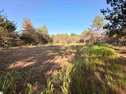 Tiny photo for 4774 W 16 Road, Mesick, MI 49668 (MLS # 1951609)