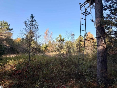 Tiny photo for 4774 W 16 Road, Mesick, MI 49668 (MLS # 1951609)