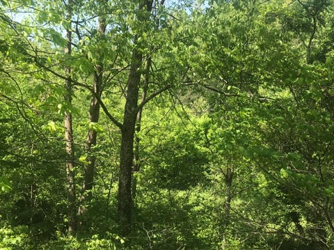 Featured picture for the property 26027355