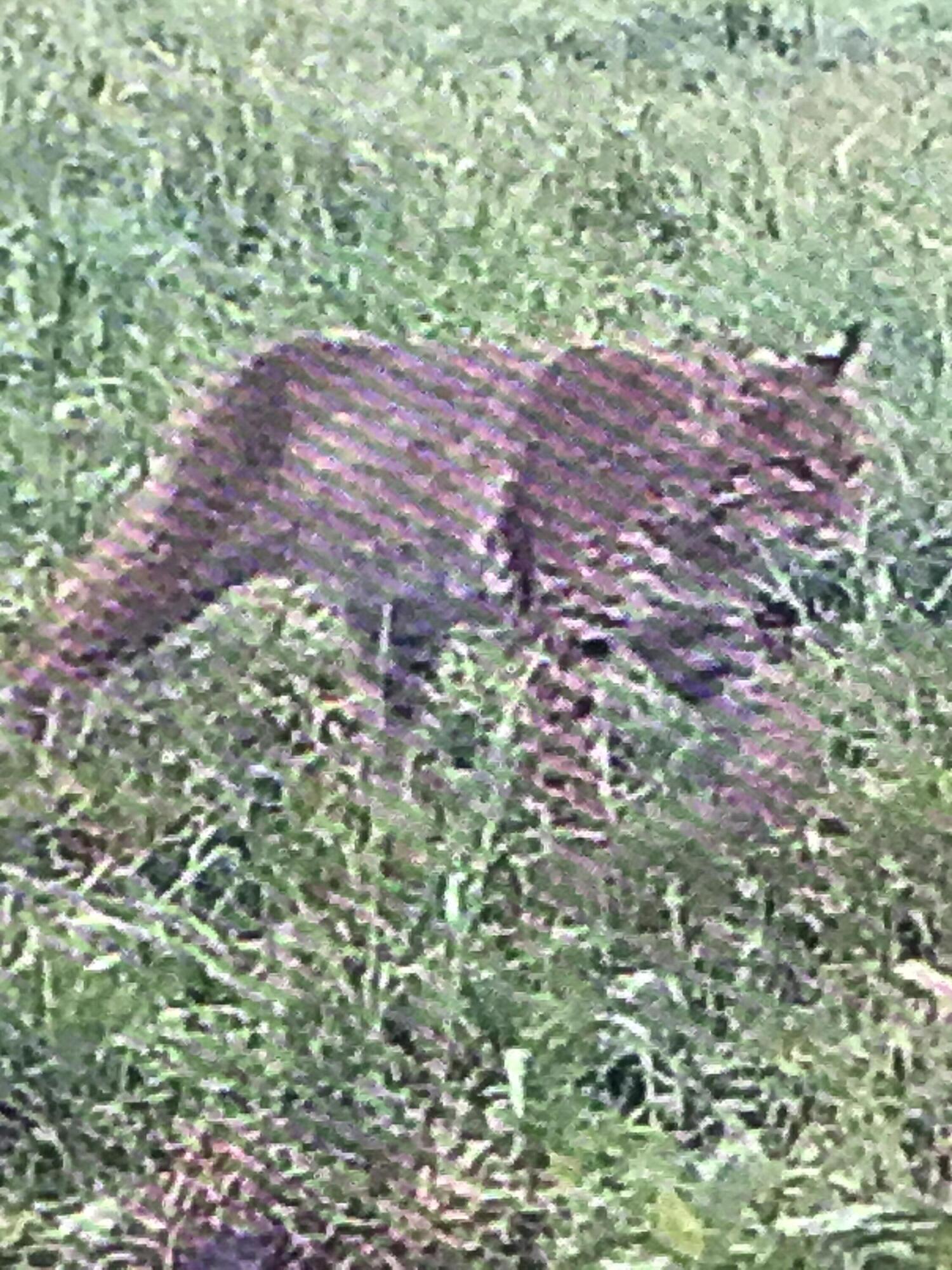 Richmond, Kentucky 40475, United States, ,Residential,Active,181086