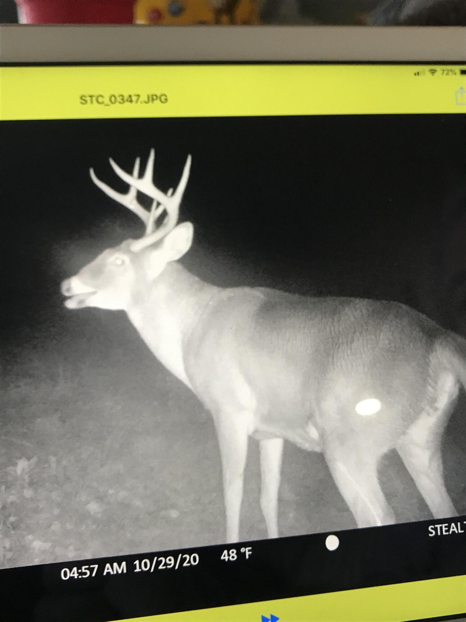 Richmond, Kentucky 40475, United States, ,Residential,Active,181086