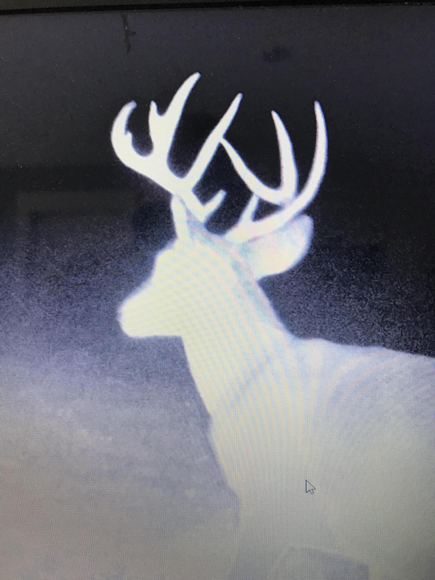 Richmond, Kentucky 40475, United States, ,Residential,Active,181086