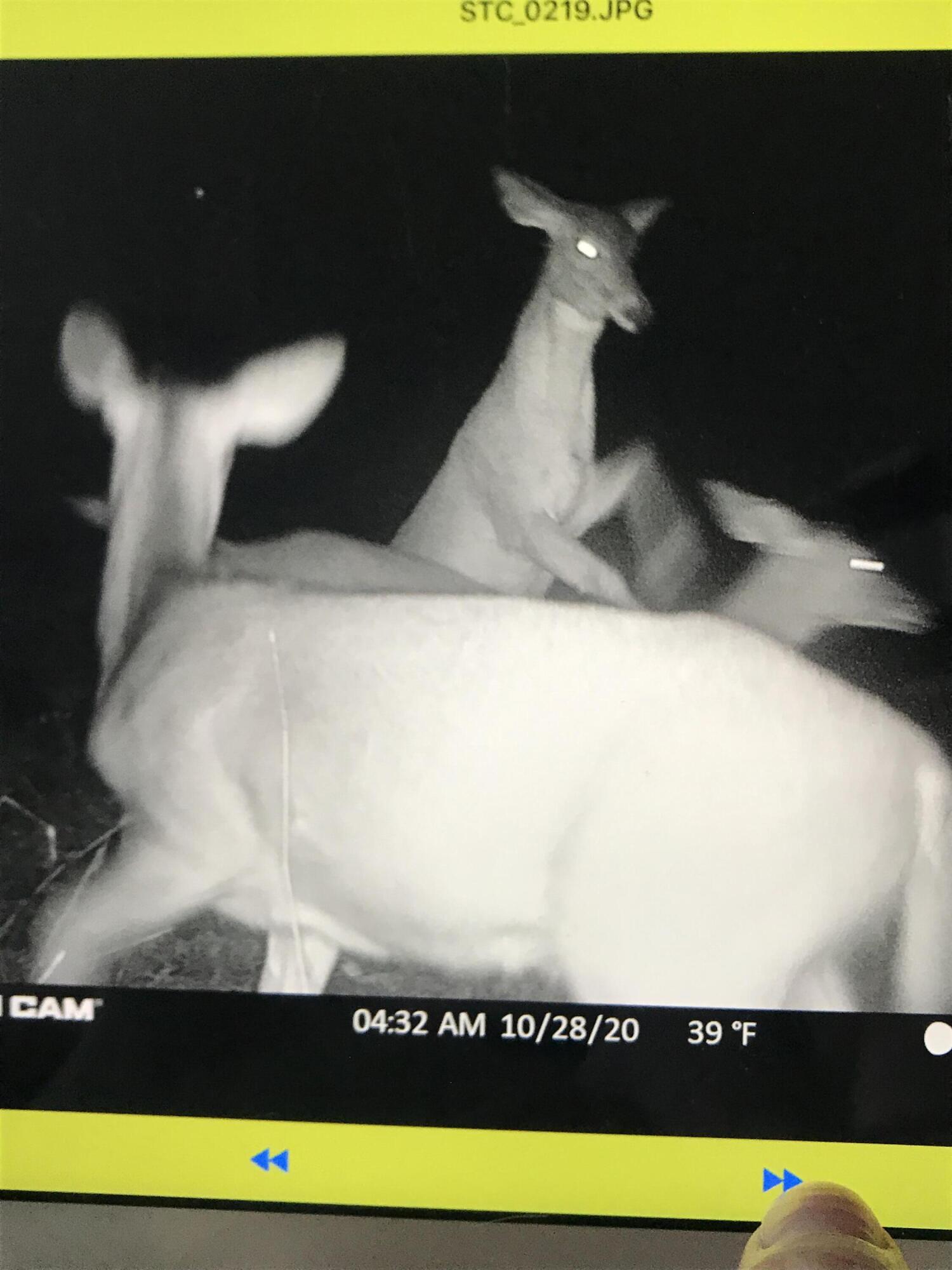 Richmond, Kentucky 40475, United States, ,Residential,Active,181086