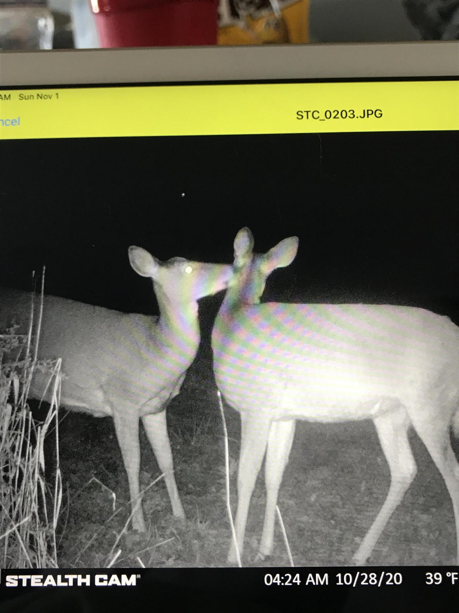 Richmond, Kentucky 40475, United States, ,Residential,Active,181086