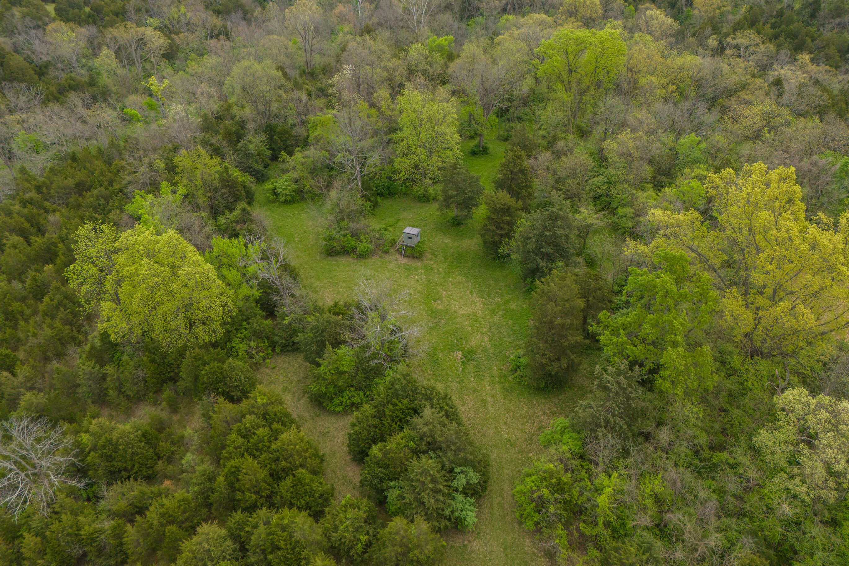 Berea, Kentucky 40403, United States, 1 Bedroom Bedrooms, ,2 BathroomsBathrooms,Residential,Active,116628