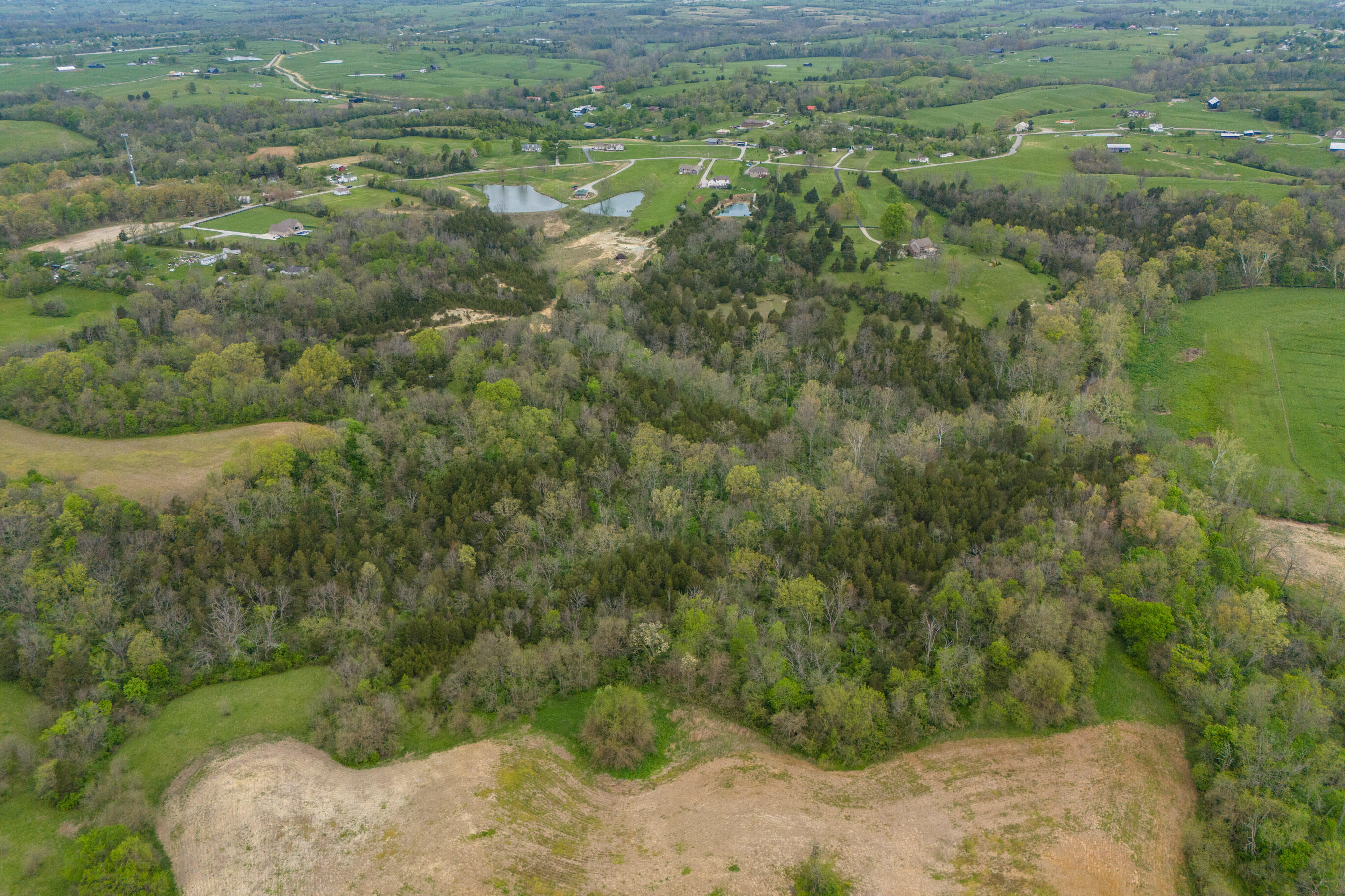 Berea, Kentucky 40403, United States, 1 Bedroom Bedrooms, ,2 BathroomsBathrooms,Residential,Active,116628