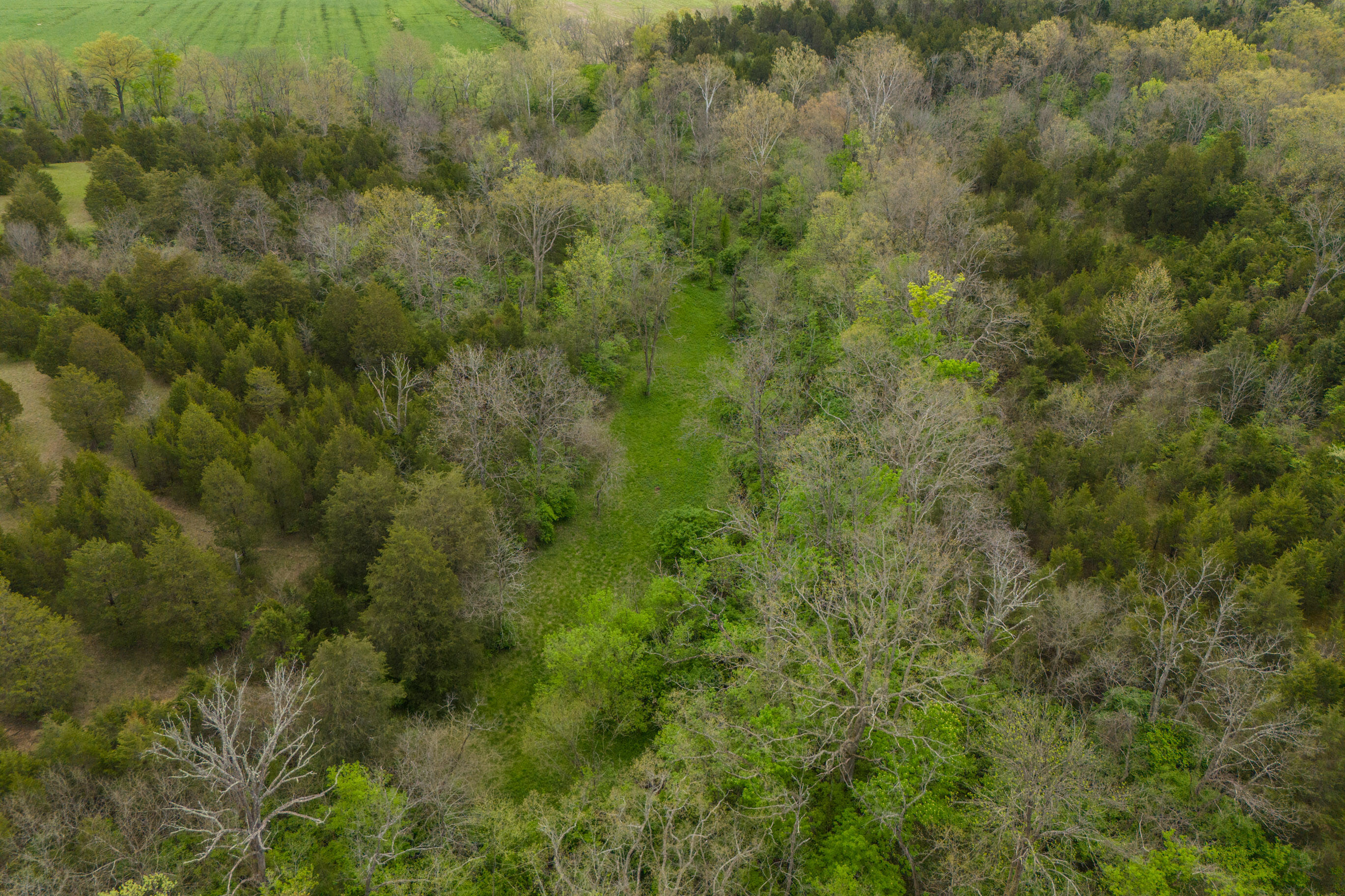 Berea, Kentucky 40403, United States, 1 Bedroom Bedrooms, ,2 BathroomsBathrooms,Residential,Active,116628