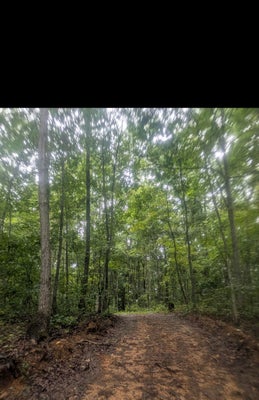 BRIDGE ROCK RD, MCKEE, KY 40447 - Image 090271ea947d396965b7bd1dfd9d4ba6/2397232762