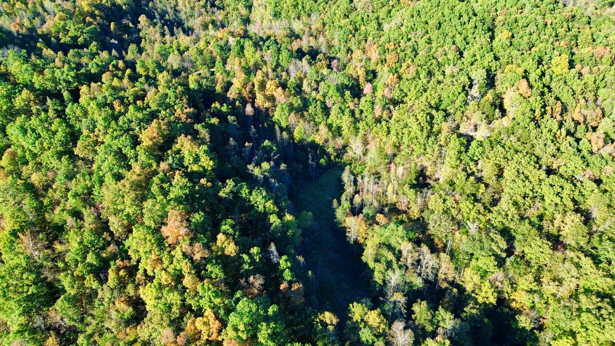 34A Clay Camp Road