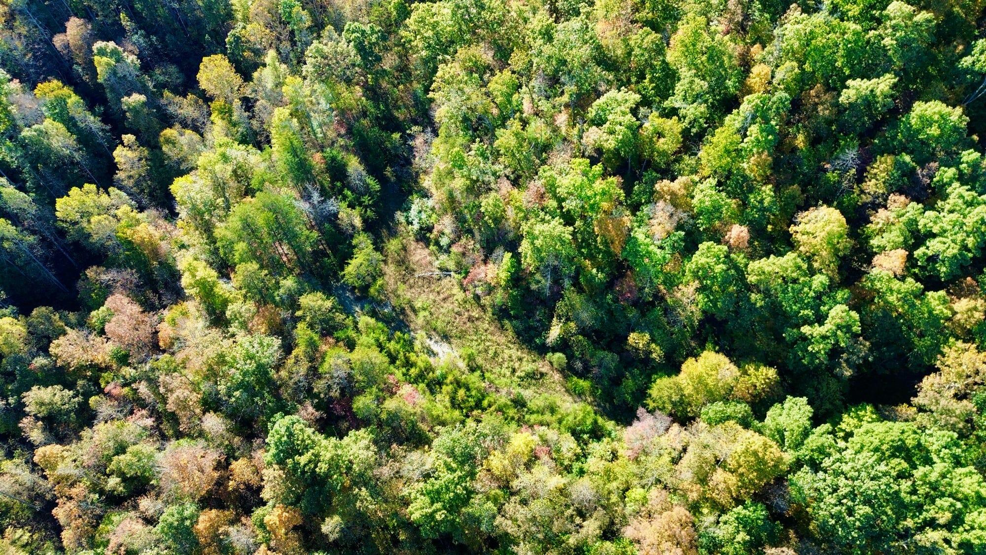 34A Clay Camp Road