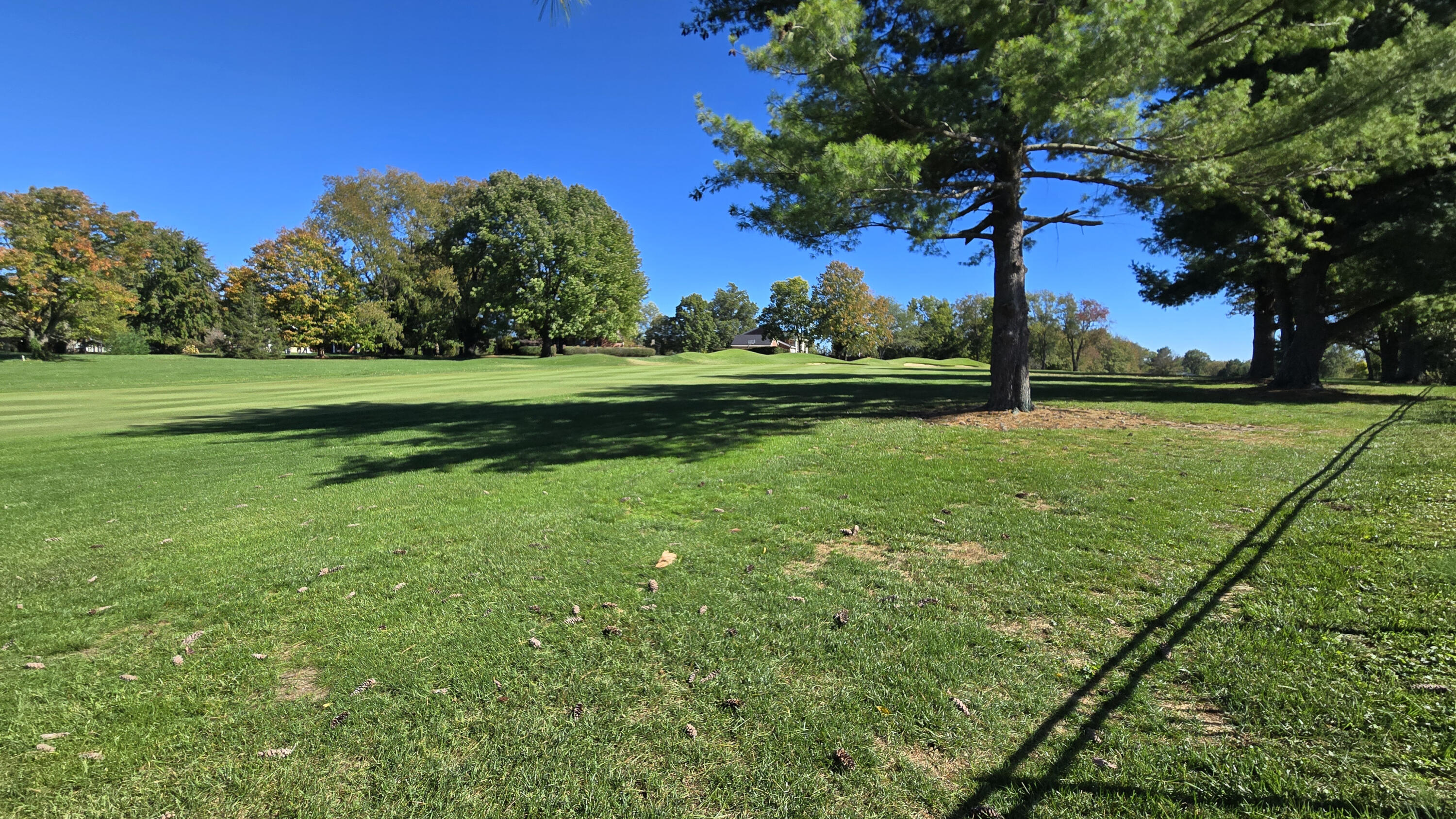 Lexington, Kentucky 40509, United States, 5 Bedrooms Bedrooms, ,3 BathroomsBathrooms,Residential,Active,231954