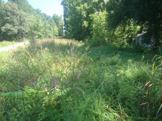 4000 OLD DOVER RD, CADIZ, KY 42211 - Image 0d05c6d5bafa1ece856dfdbca6bab0a5/744271689
