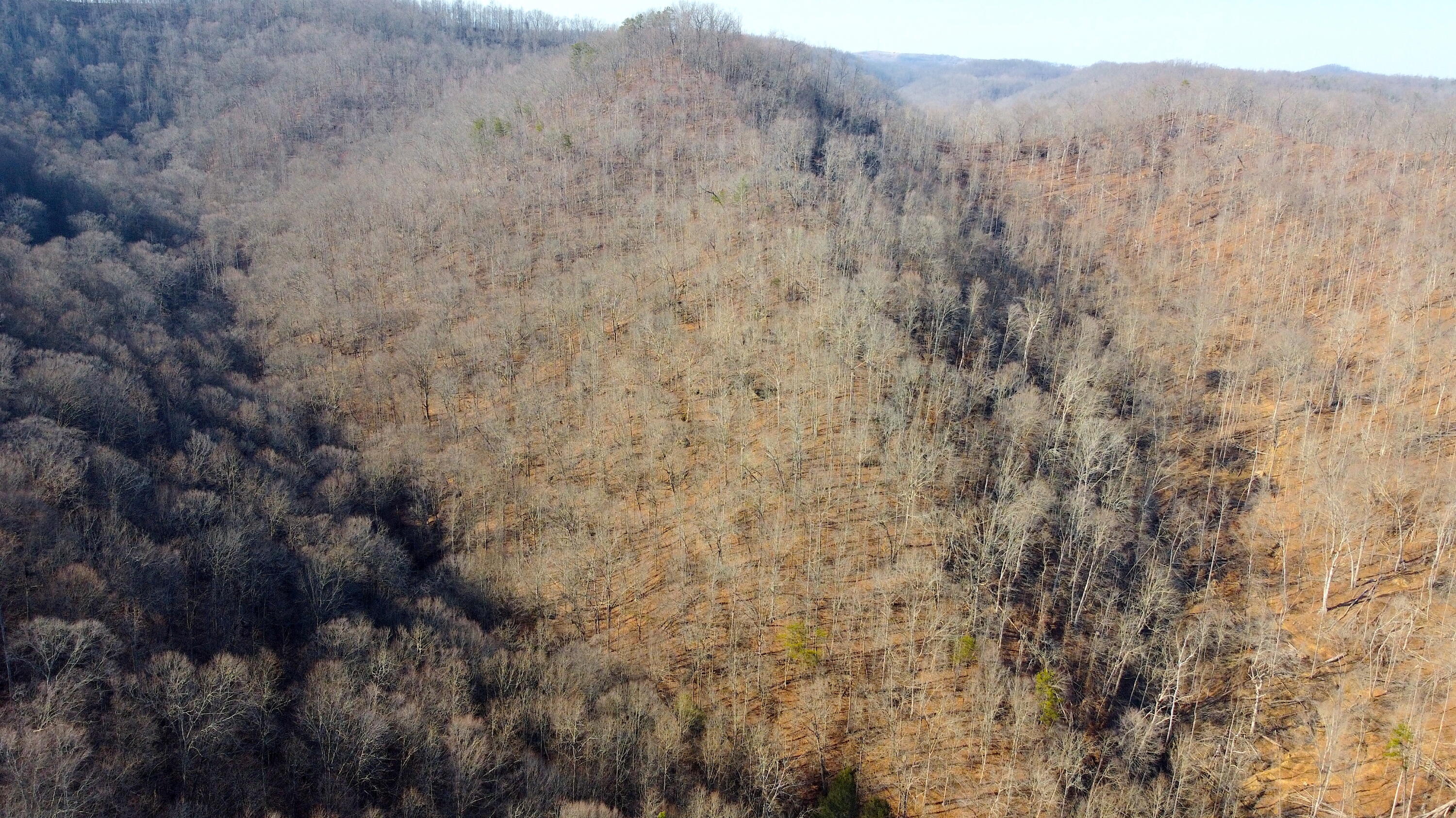 Jackson, Kentucky 41339, United States, ,Residential,Active,63529