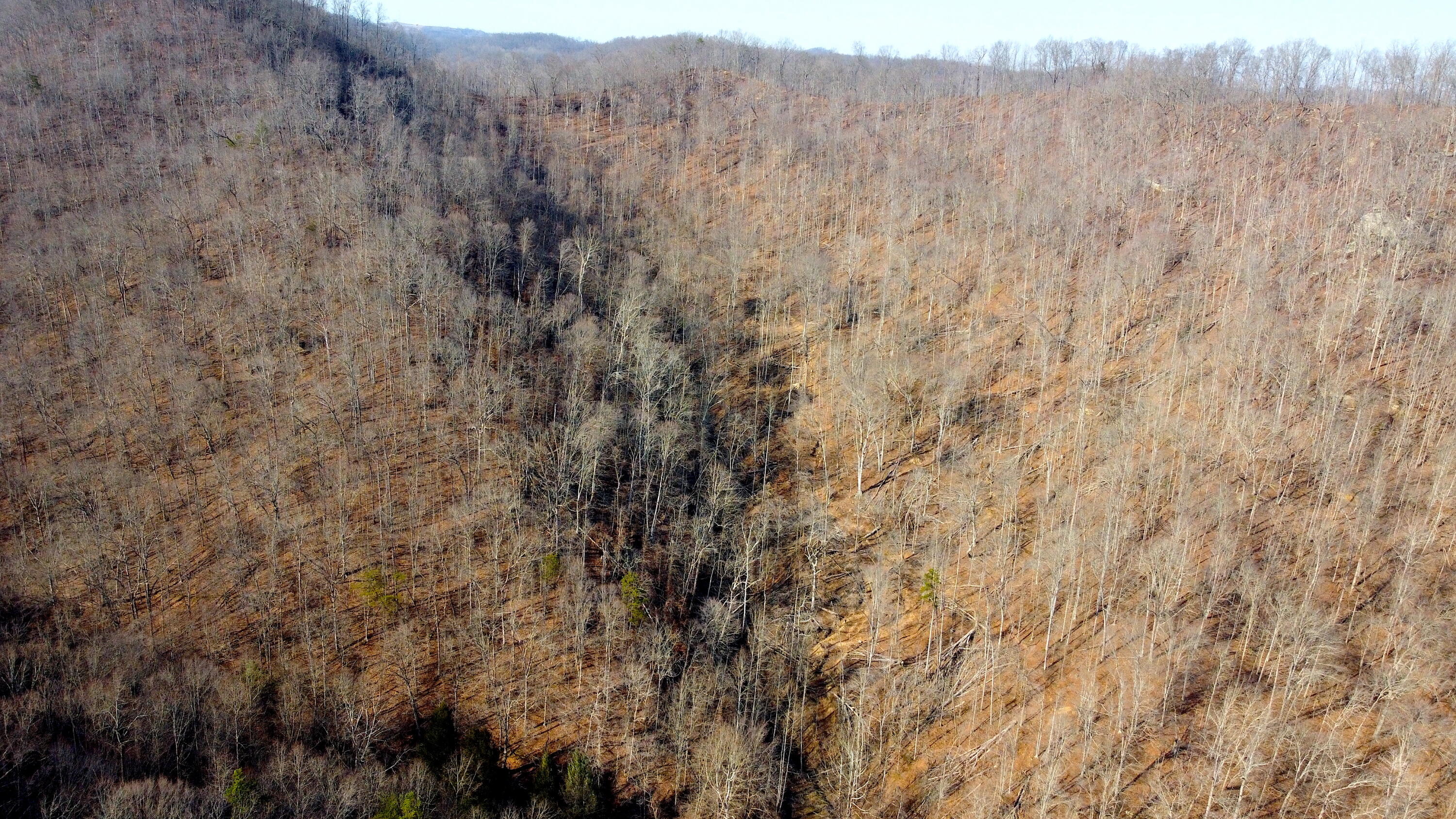 Jackson, Kentucky 41339, United States, ,Residential,Active,63529