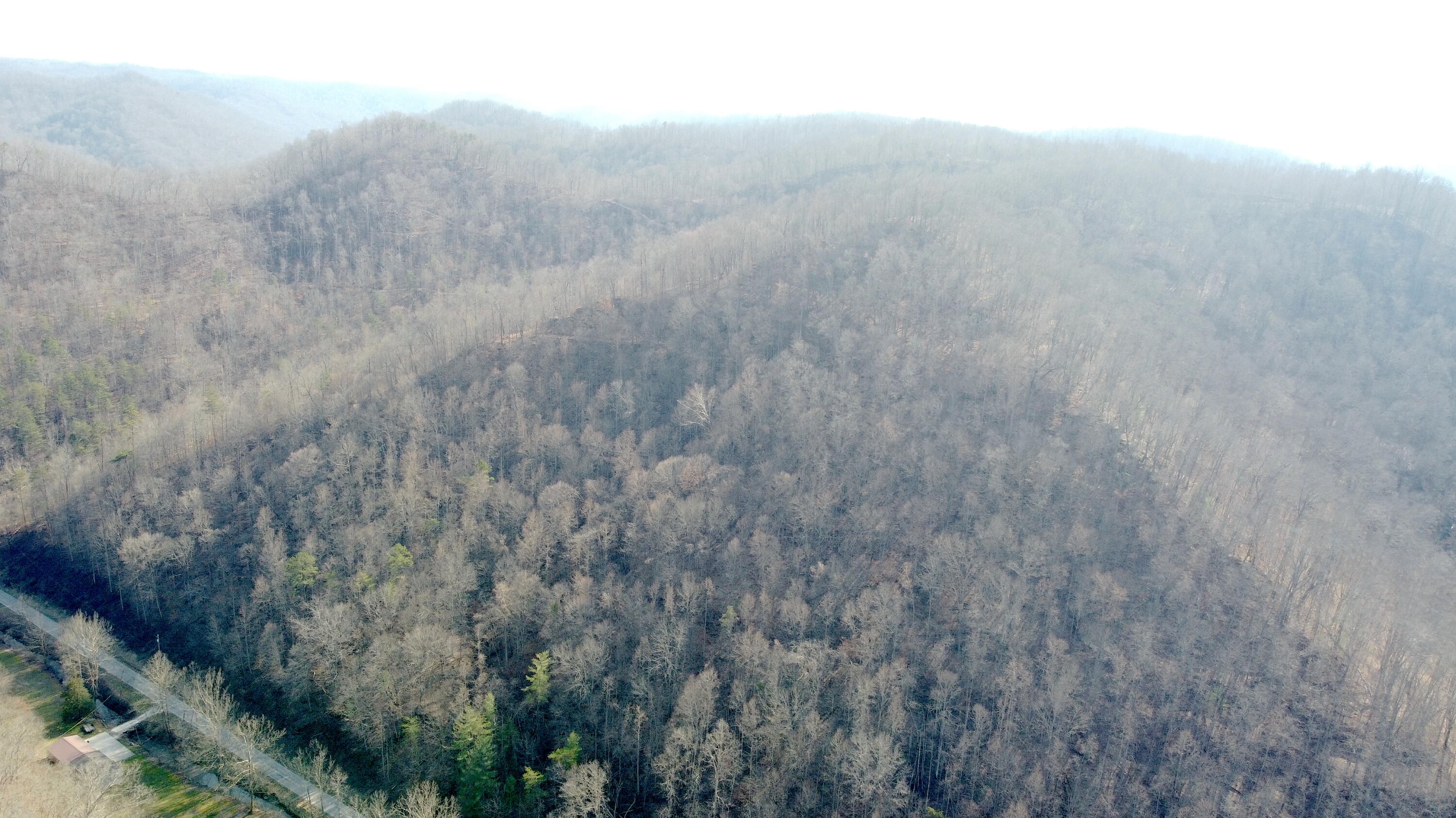 Jackson, Kentucky 41339, United States, ,Residential,Active,63529