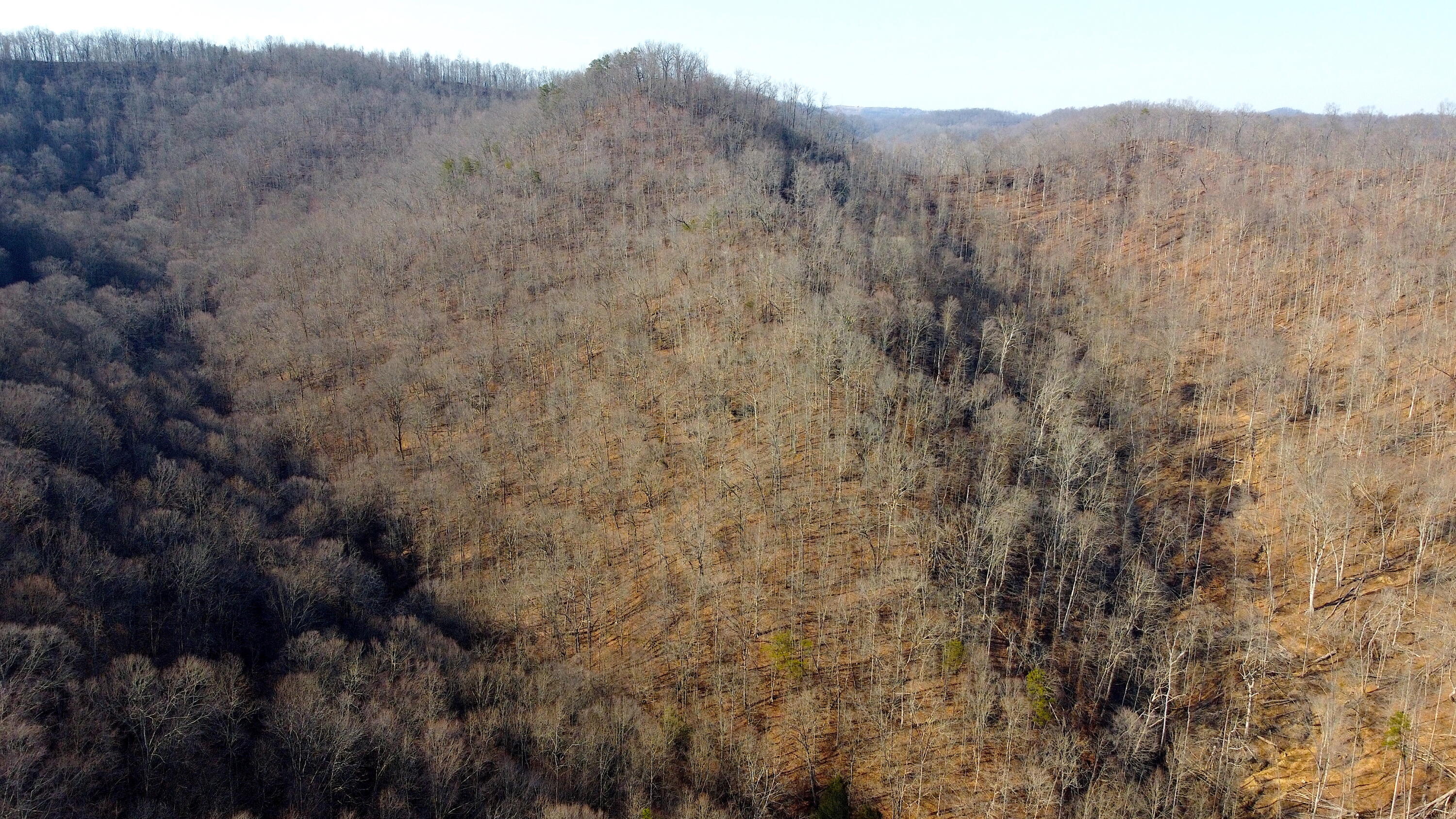 Jackson, Kentucky 41339, United States, ,Residential,Active,63529