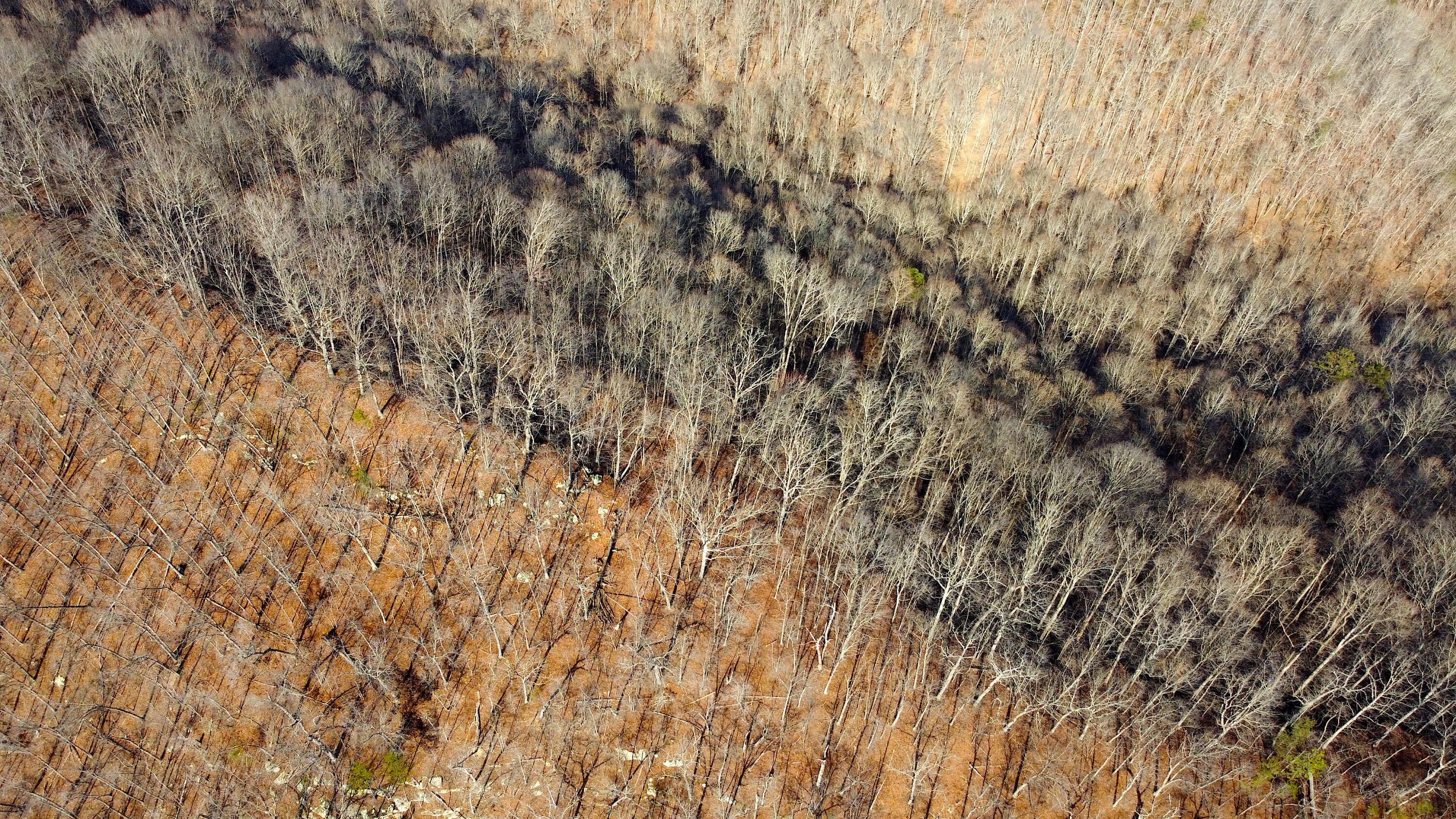 Jackson, Kentucky 41339, United States, ,Residential,Active,63529