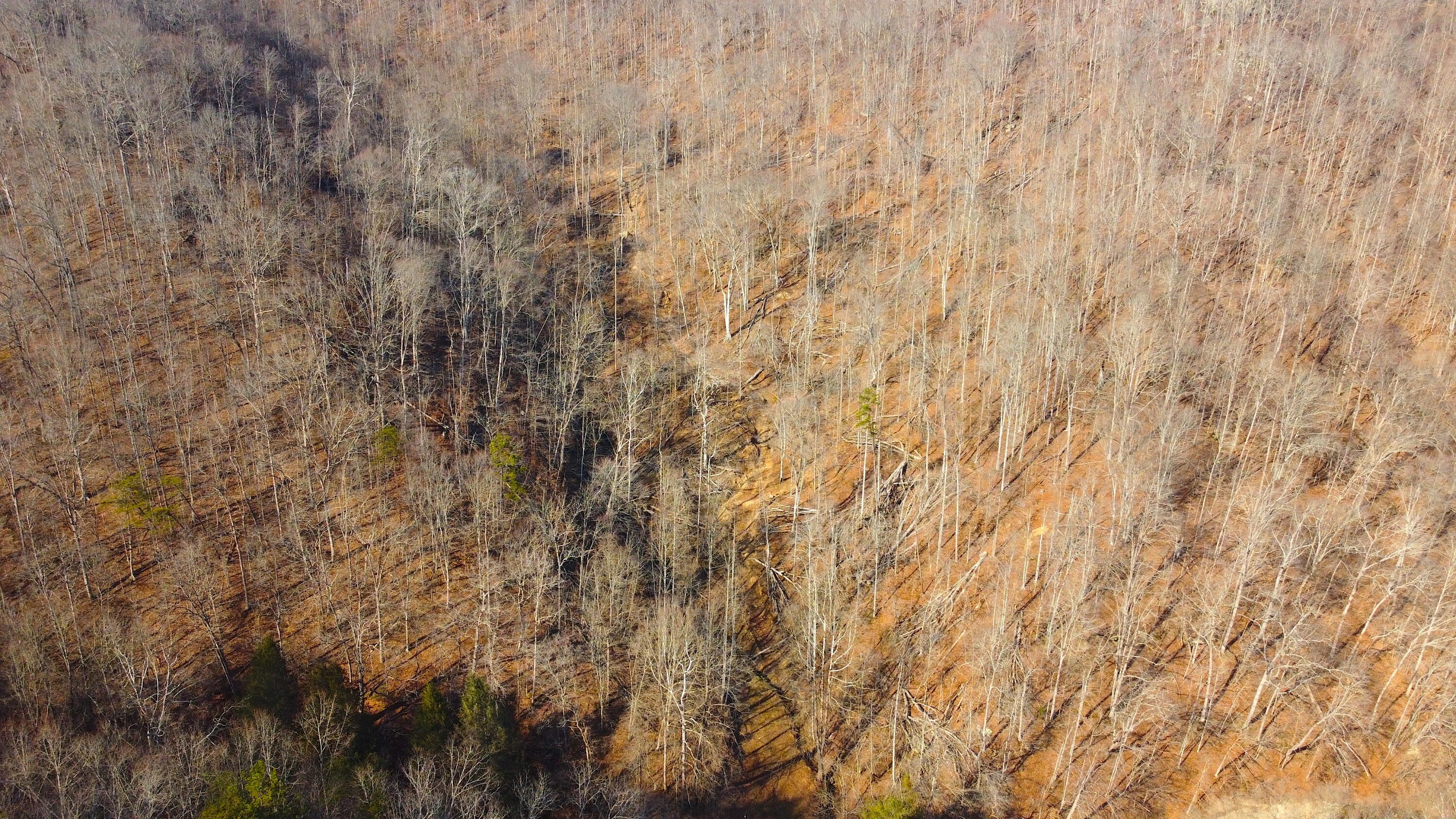 Jackson, Kentucky 41339, United States, ,Residential,Active,63529