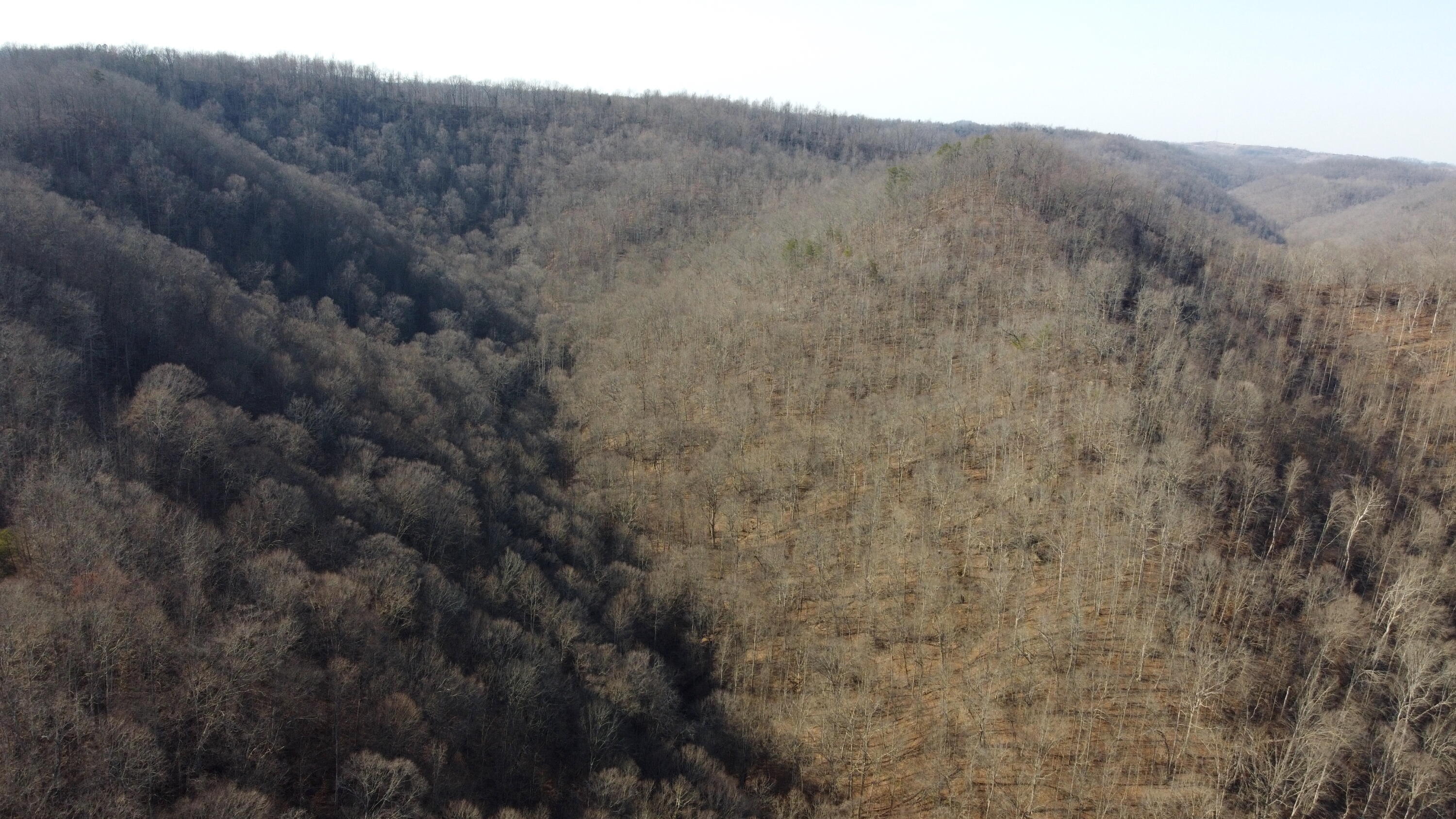 Jackson, Kentucky 41339, United States, ,Residential,Active,63529