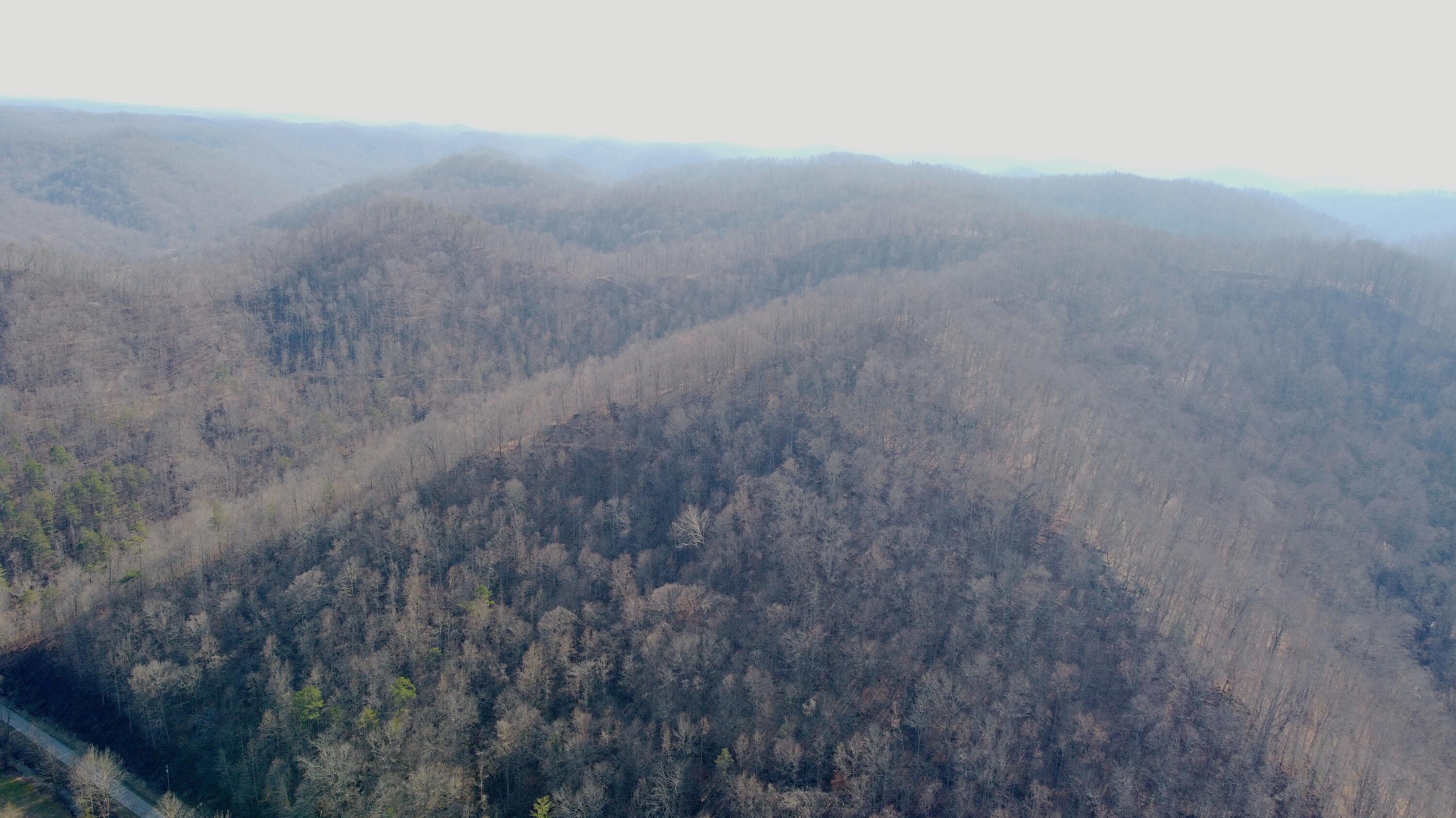 Jackson, Kentucky 41339, United States, ,Residential,Active,63529