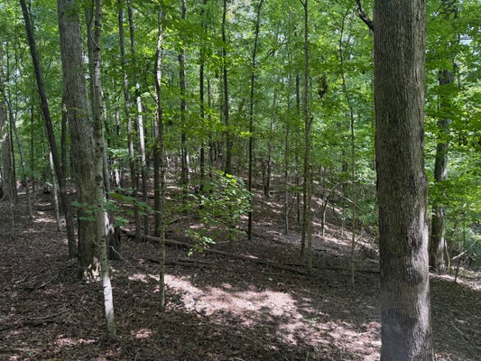 PERRY SPRINGS RD, EDDYVILLE, KY 42038 - Image 0f32e597d0d4ae3348dbe22dd3c25d2f/778440332