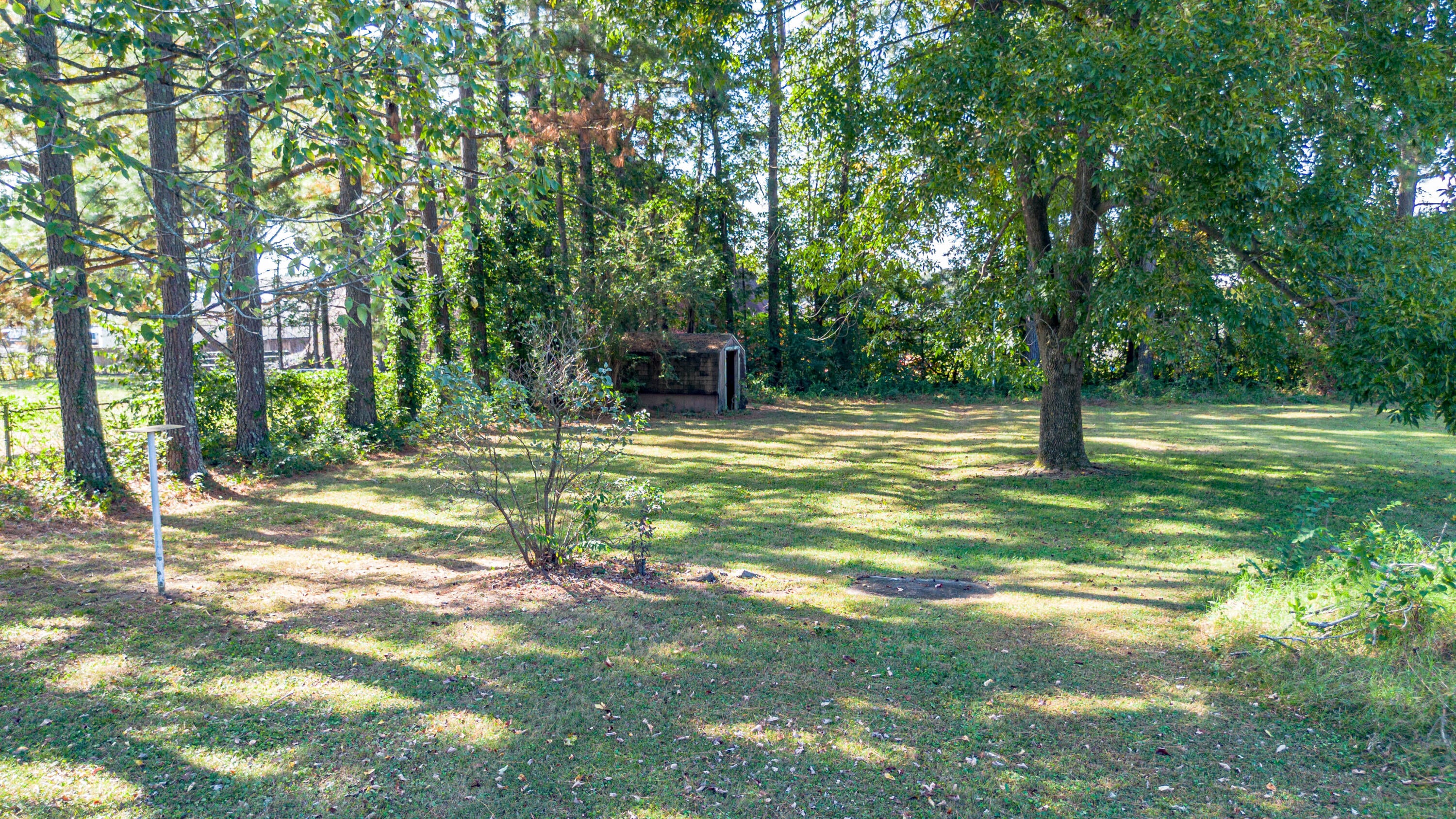 2025 Steve Drive