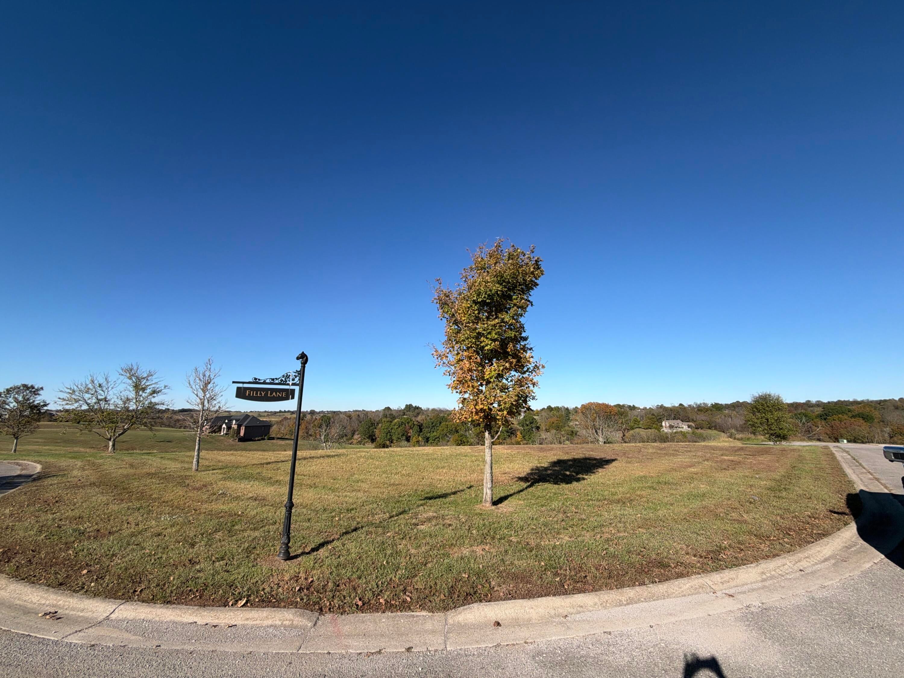 1282 Champion Way Lot 86