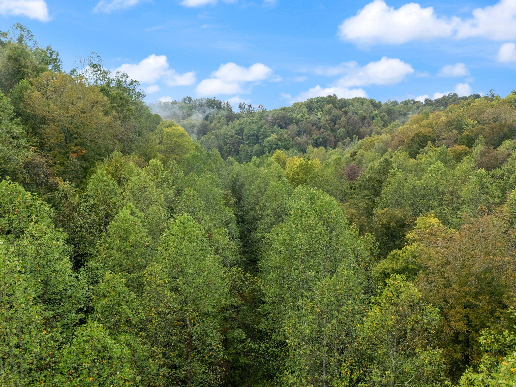 Booneville, Kentucky 41314, United States, ,Land,Active,210963