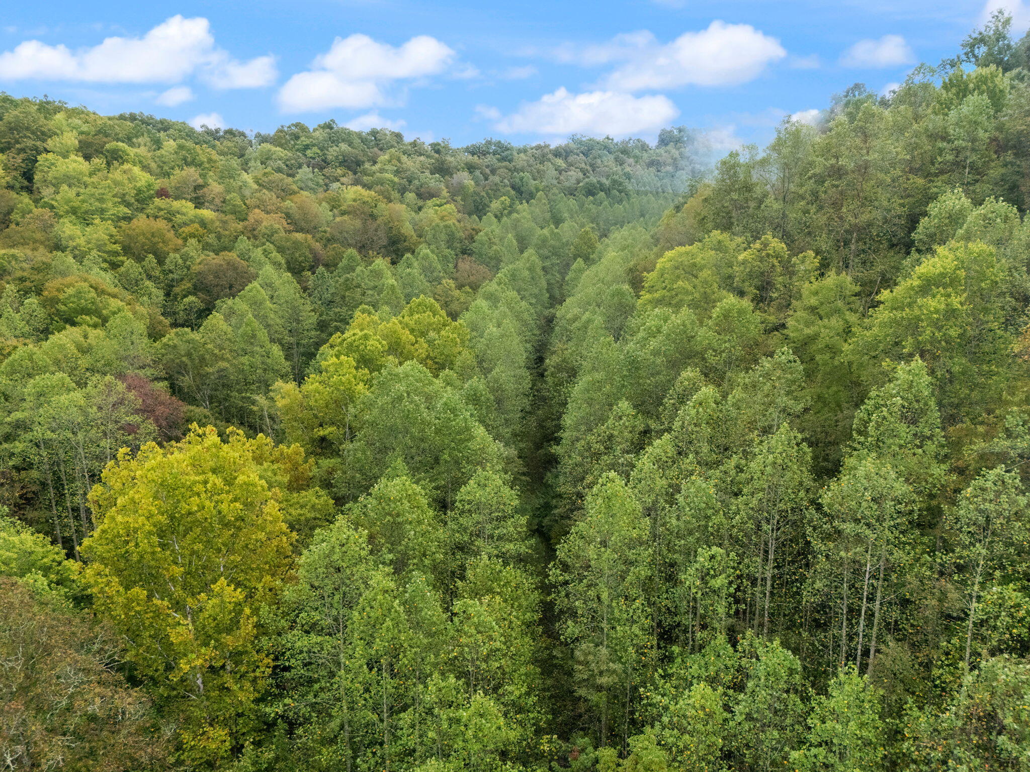 Booneville, Kentucky 41314, United States, ,Land,Active,210963