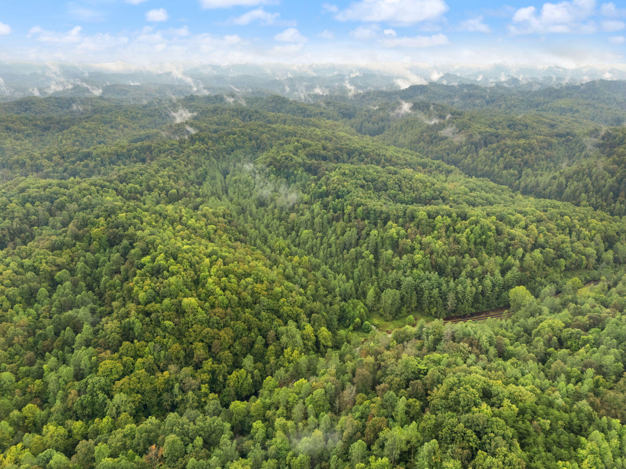 Booneville, Kentucky 41314, United States, ,Land,Active,210963