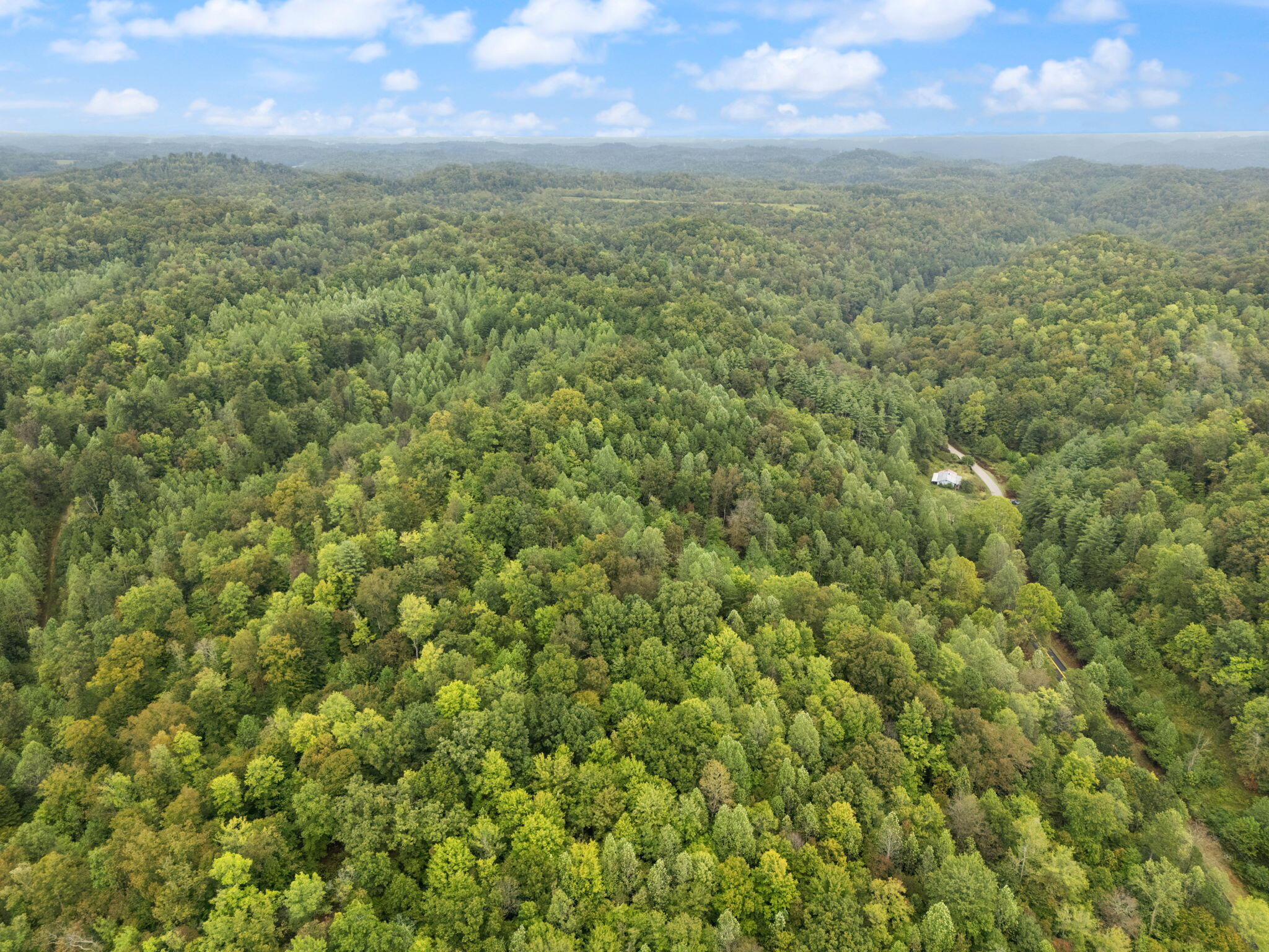 Booneville, Kentucky 41314, United States, ,Land,Active,210963