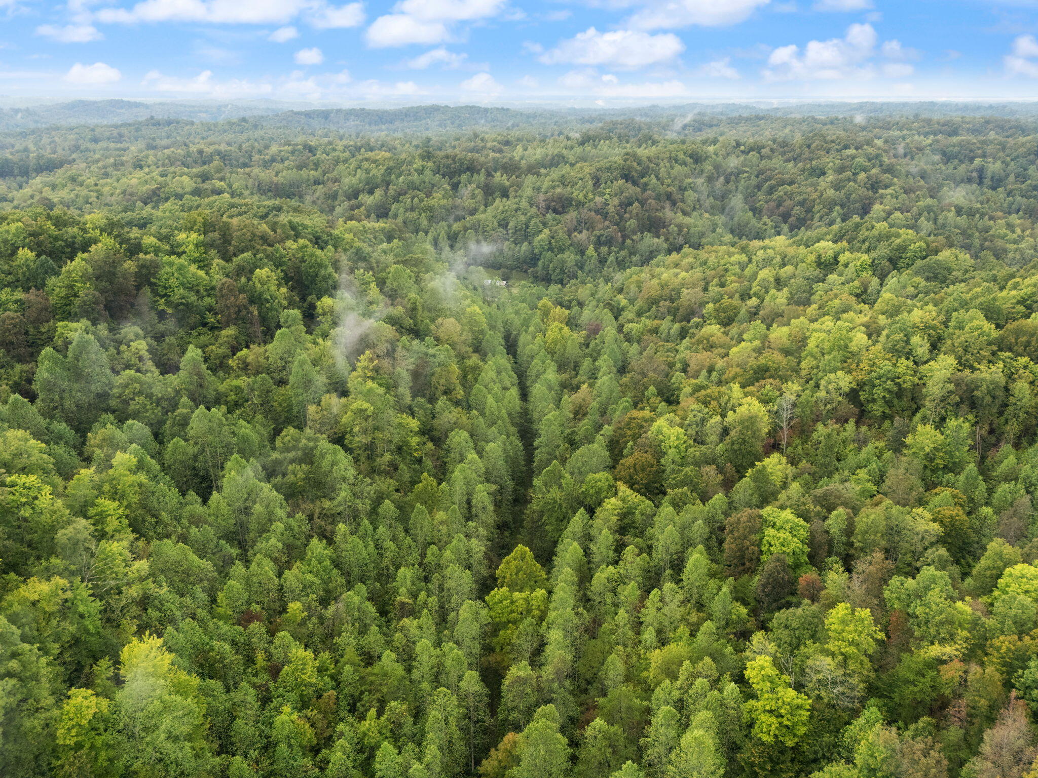 Booneville, Kentucky 41314, United States, ,Land,Active,210963