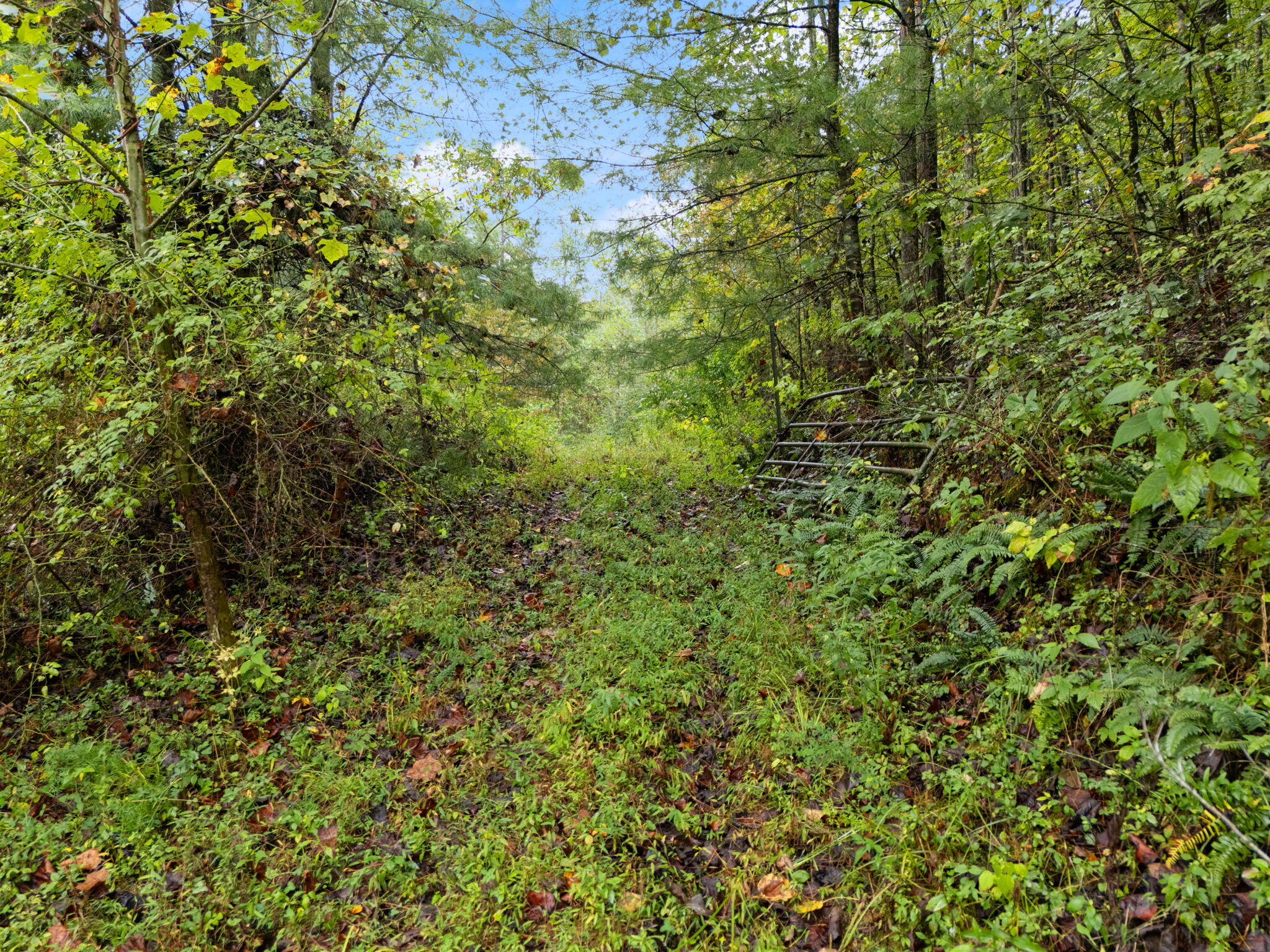 Booneville, Kentucky 41314, United States, ,Land,Active,210963