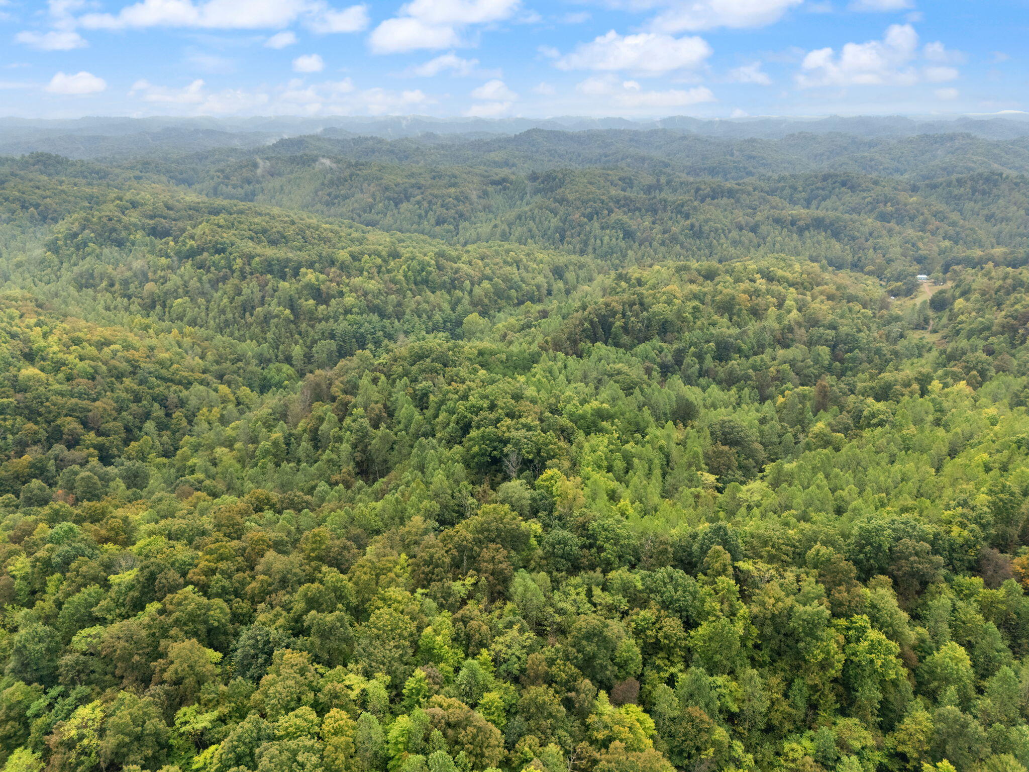 Booneville, Kentucky 41314, United States, ,Land,Active,210963