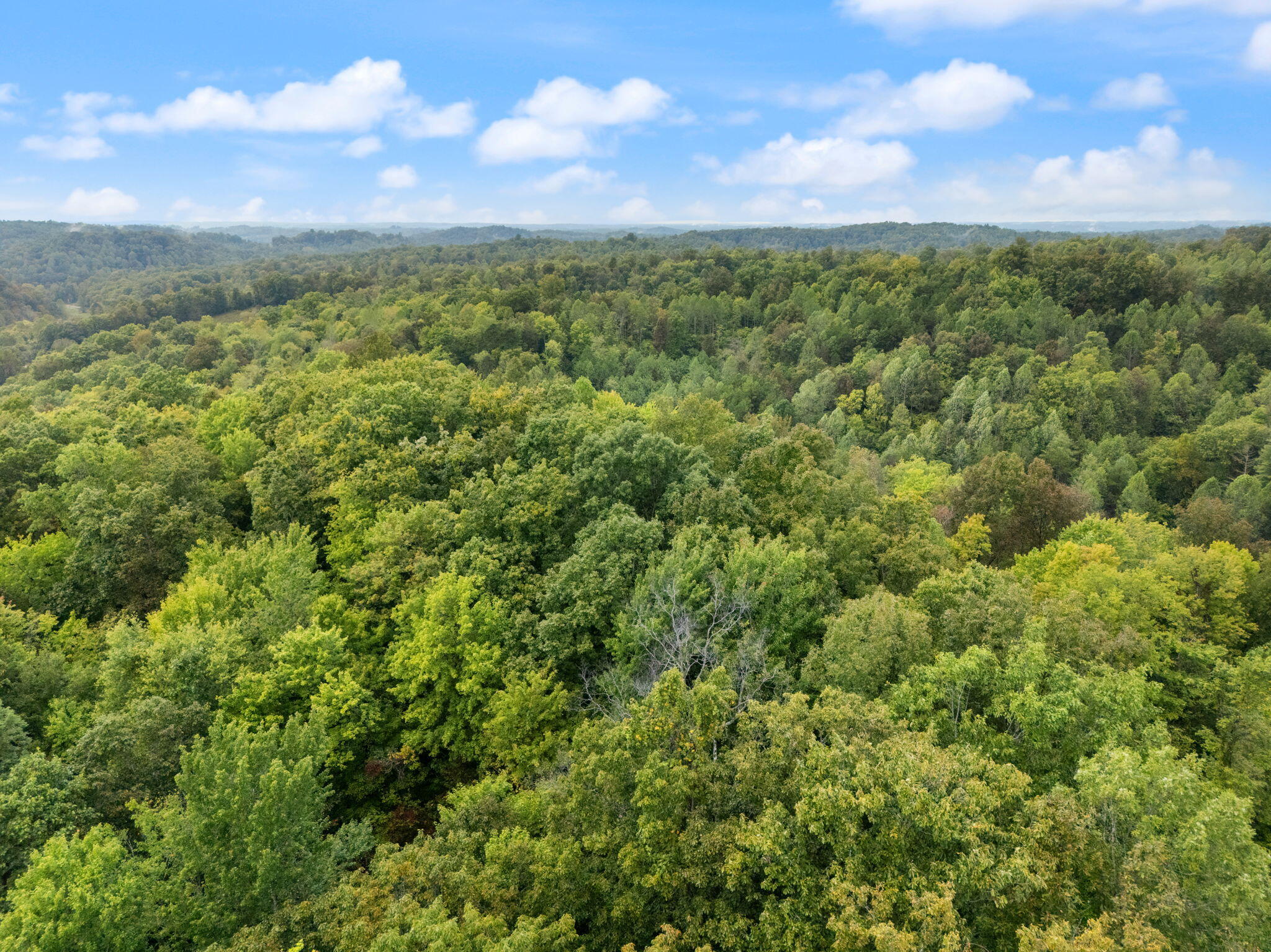 Booneville, Kentucky 41314, United States, ,Land,Active,210963