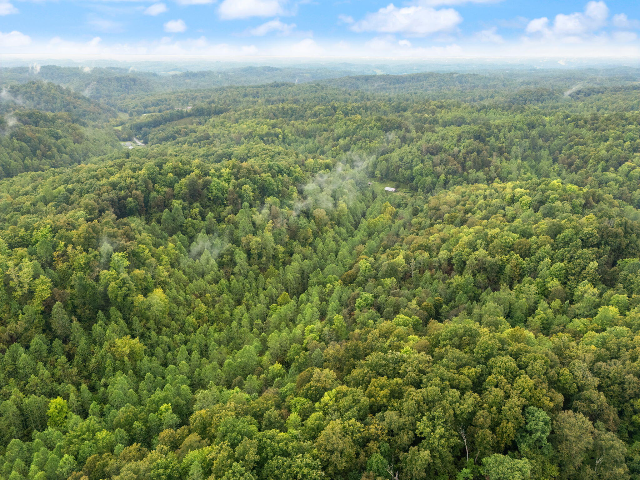 Booneville, Kentucky 41314, United States, ,Land,Active,210963