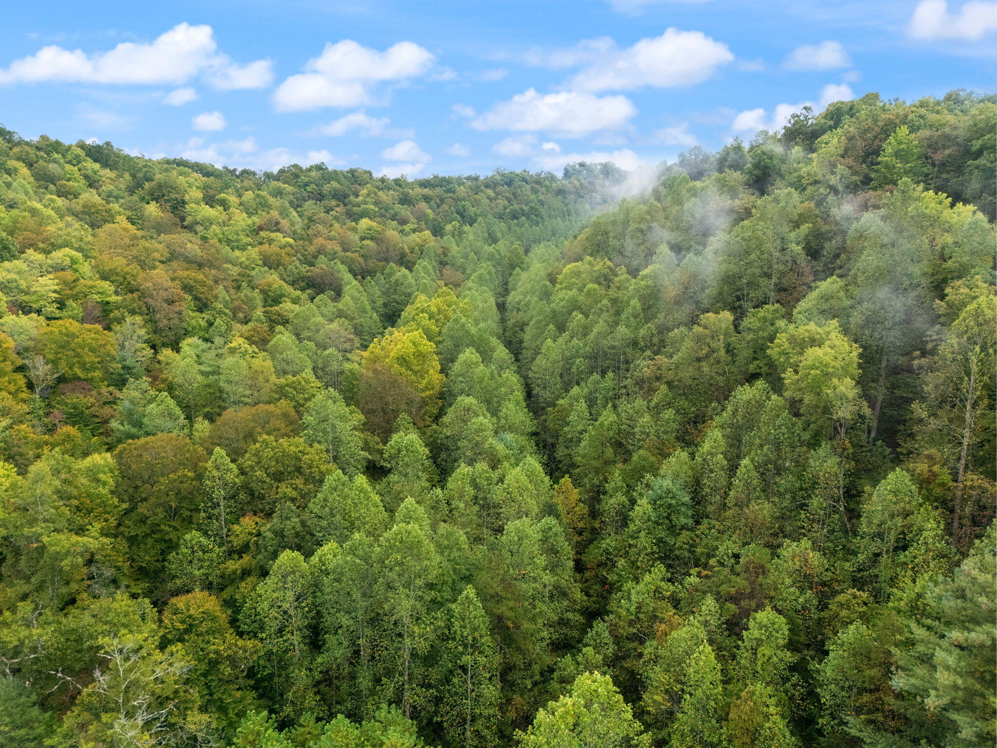 Booneville, Kentucky 41314, United States, ,Land,Active,210963