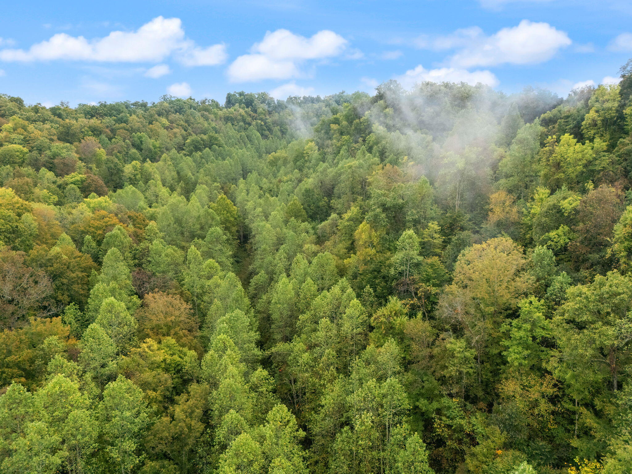 Booneville, Kentucky 41314, United States, ,Land,Active,210963