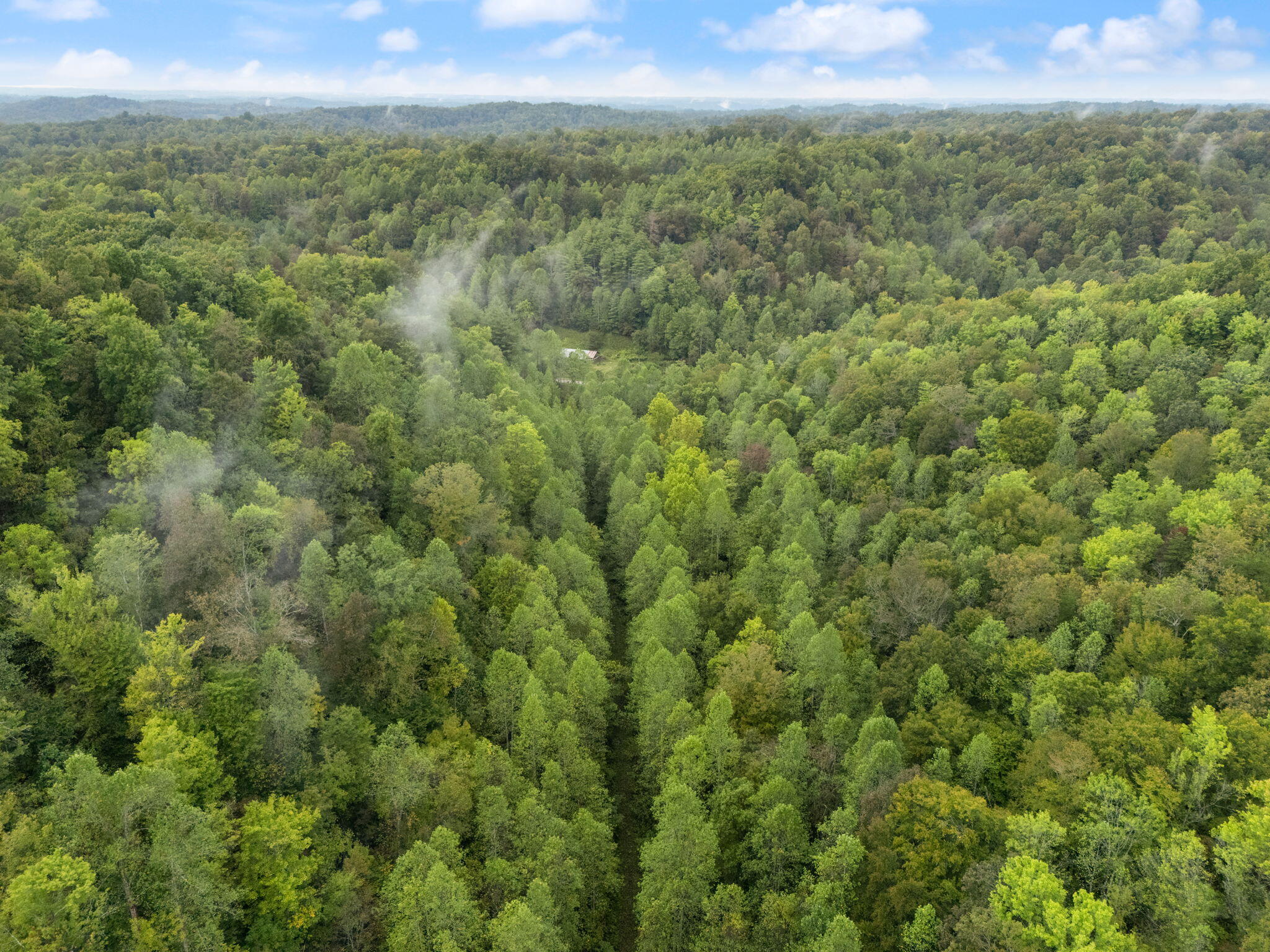 Booneville, Kentucky 41314, United States, ,Land,Active,210963