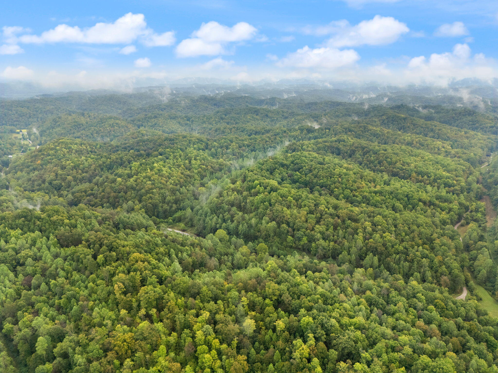 Booneville, Kentucky 41314, United States, ,Land,Active,210963