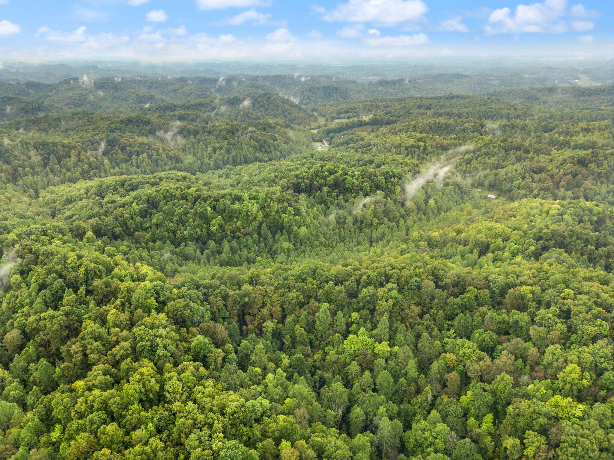 Booneville, Kentucky 41314, United States, ,Land,Active,210963