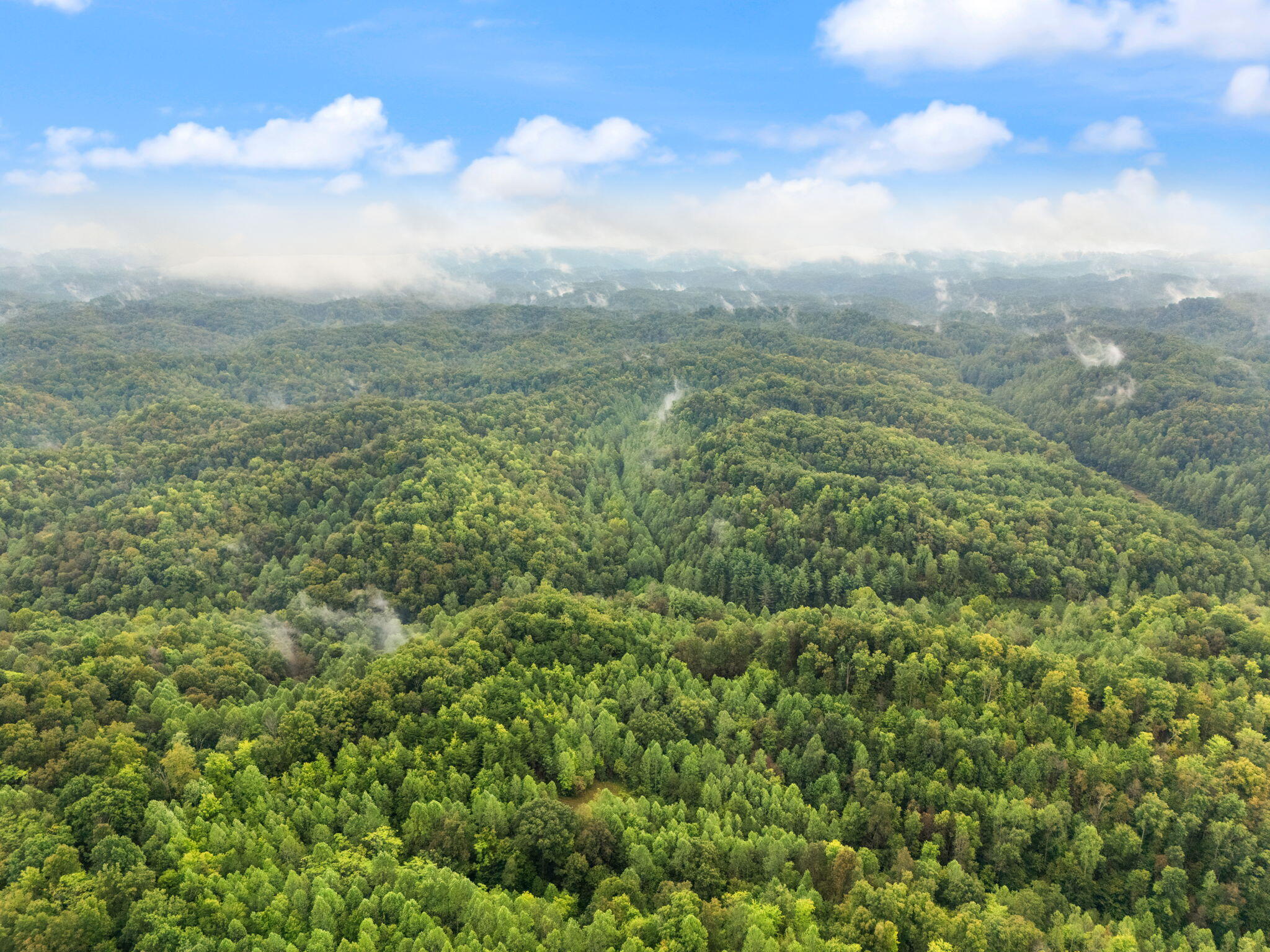 Booneville, Kentucky 41314, United States, ,Land,Active,210963