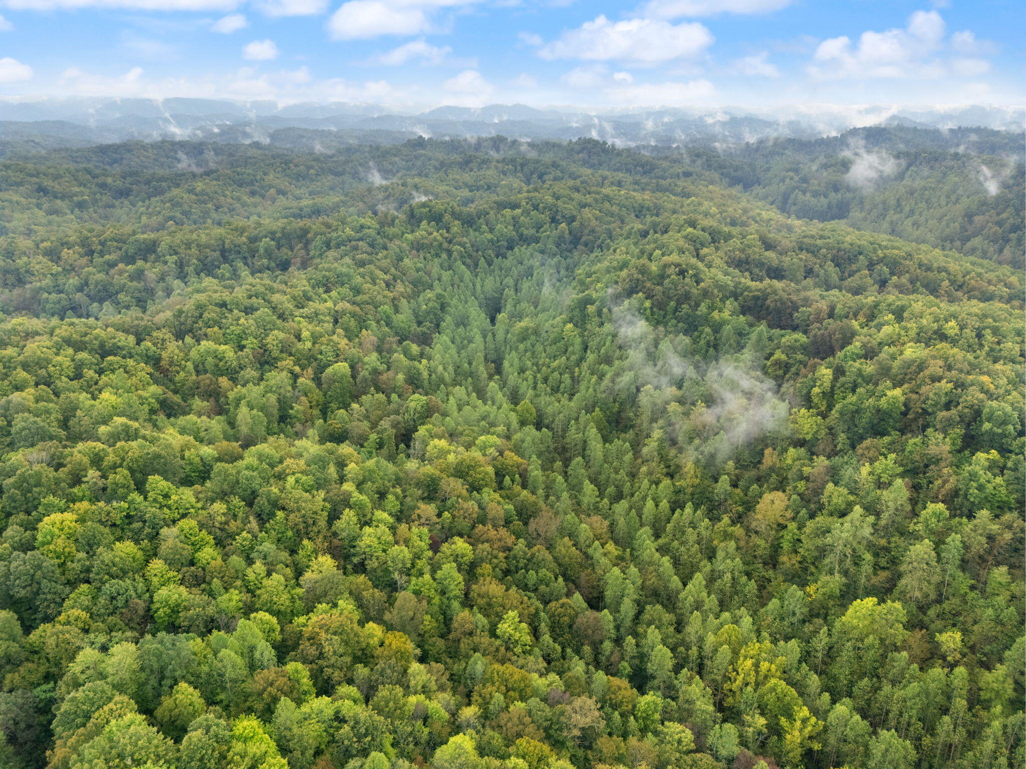 Booneville, Kentucky 41314, United States, ,Land,Active,210963